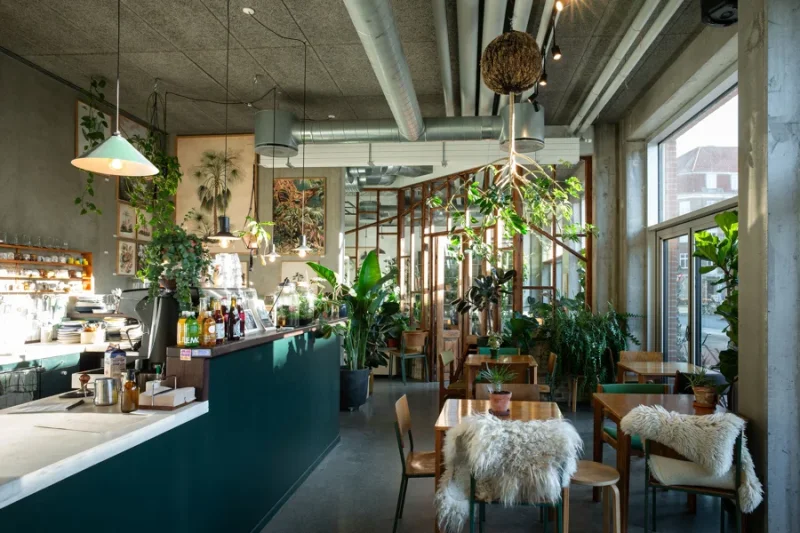 Café Boutique Plantecaféen