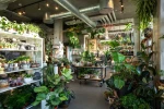 Café Boutique Plantecaféen