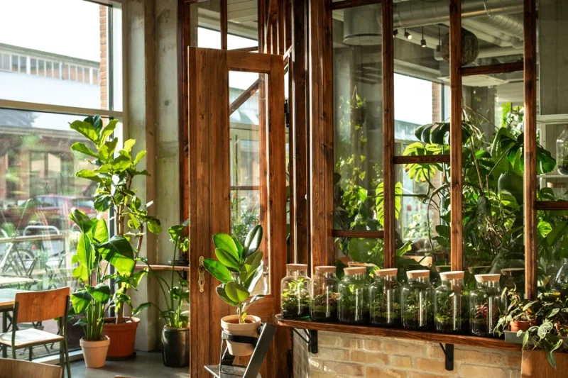 Café Boutique Plantecaféen